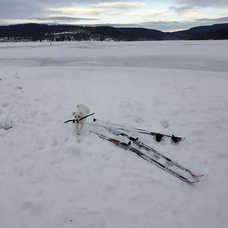 Sport * Lipno nad Vltavou