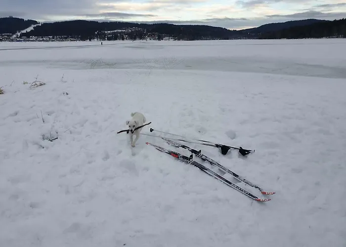 Sport * Lipno nad Vltavou